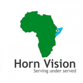 Horn Vision